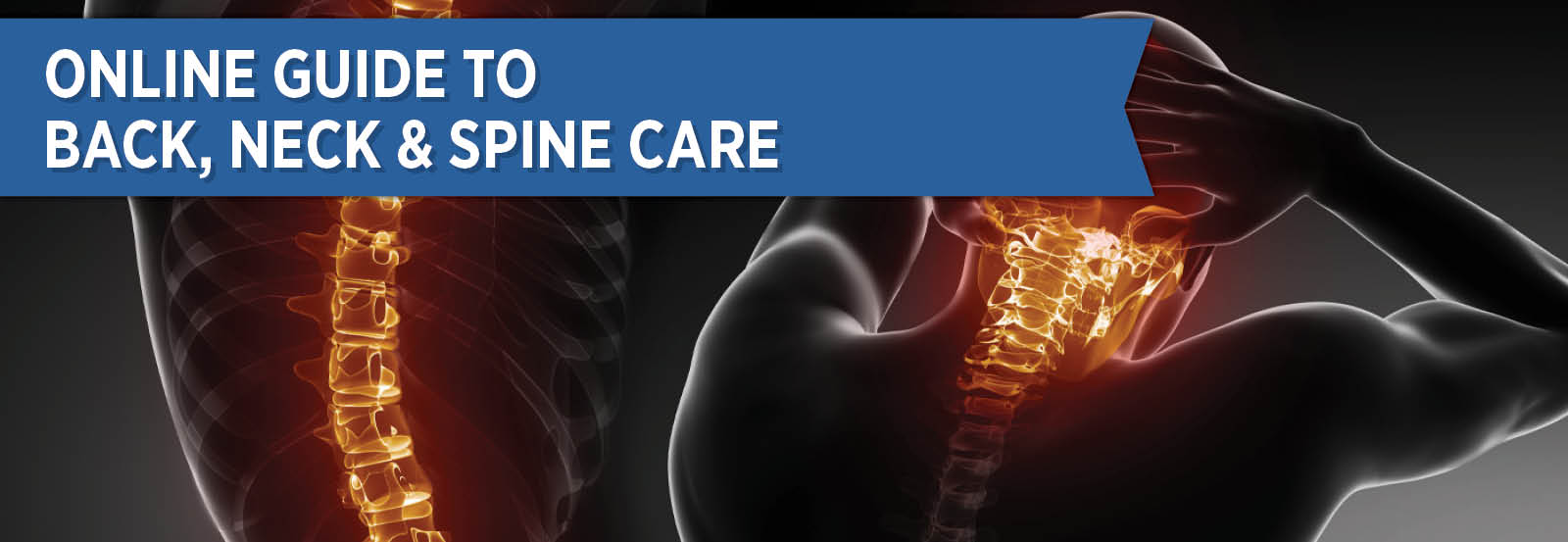 Online Guide to Back, Neck & Spine Care